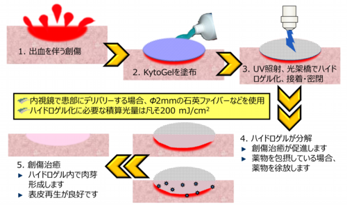 hydrogelation.png